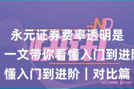 永元证券费率透明是否可靠？一文带你看懂入门到进阶｜对比篇