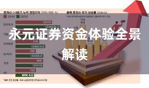 永元证券资金体验全景解读