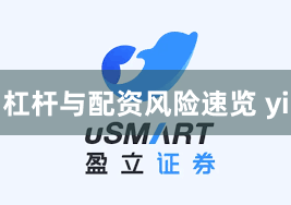 杠杆与配资风险速览 yi